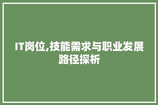IT岗位,技能需求与职业发展路径探析