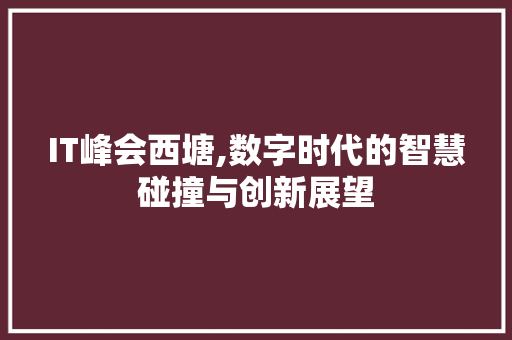 IT峰会西塘,数字时代的智慧碰撞与创新展望