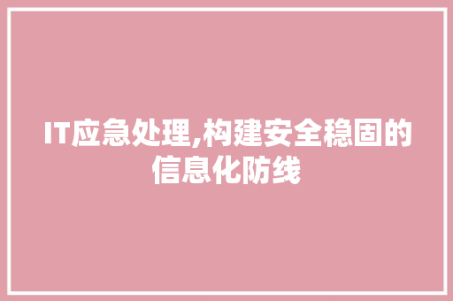 IT应急处理,构建安全稳固的信息化防线 建站教程