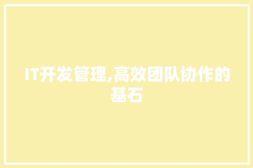 IT开发管理,高效团队协作的基石