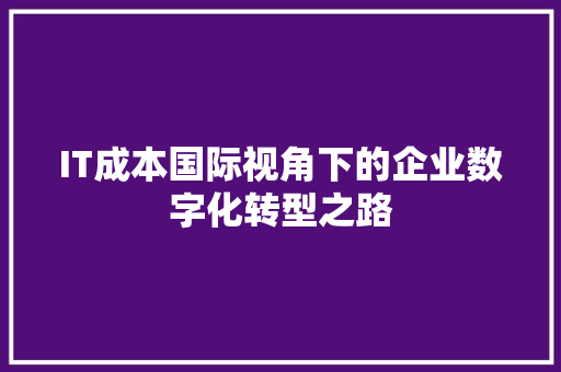 IT成本国际视角下的企业数字化转型之路