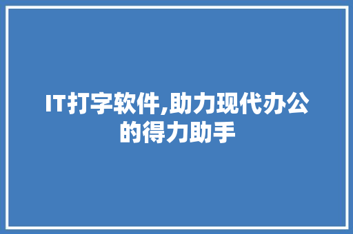IT打字软件,助力现代办公的得力助手