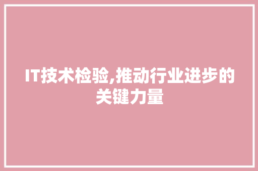 IT技术检验,推动行业进步的关键力量