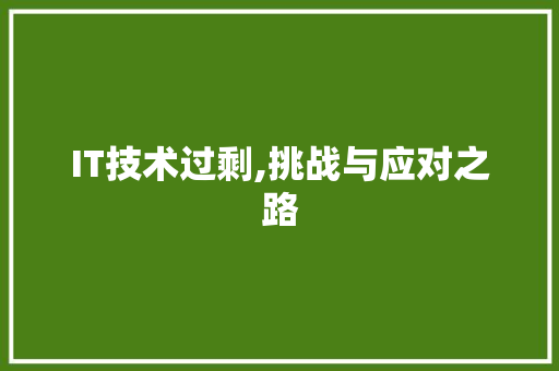 IT技术过剩,挑战与应对之路