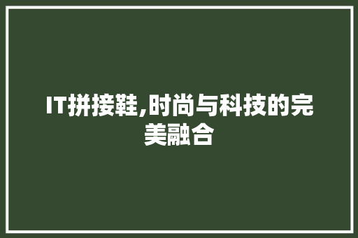 IT拼接鞋,时尚与科技的完美融合