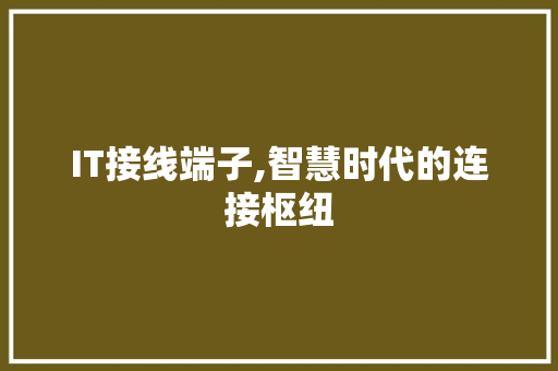 IT接线端子,智慧时代的连接枢纽 Web前端