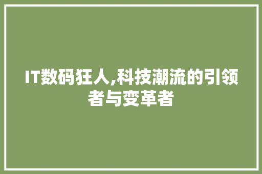 IT数码狂人,科技潮流的引领者与变革者