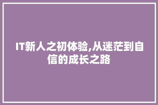 IT新人之初体验,从迷茫到自信的成长之路