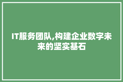 IT服务团队,构建企业数字未来的坚实基石 WordPress教程