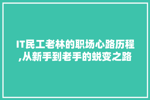 IT民工老林的职场心路历程,从新手到老手的蜕变之路 建站教程