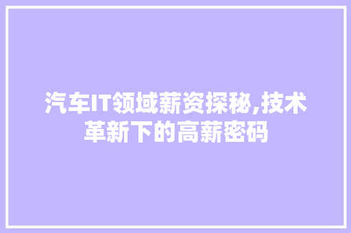 汽车IT领域薪资探秘,技术革新下的高薪密码 建站教程