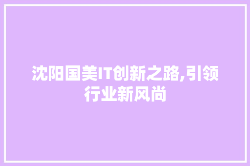 沈阳国美IT创新之路,引领行业新风尚