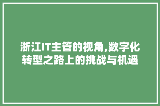 浙江IT主管的视角,数字化转型之路上的挑战与机遇 WordPress教程