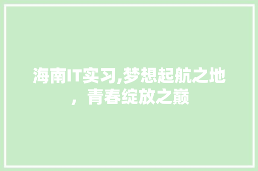 海南IT实习,梦想起航之地，青春绽放之巅