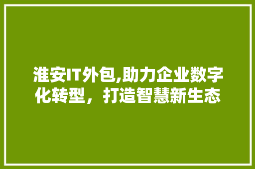 淮安IT外包,助力企业数字化转型，打造智慧新生态