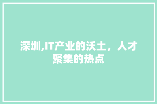 深圳,IT产业的沃土，人才聚集的热点 服务器/数据库