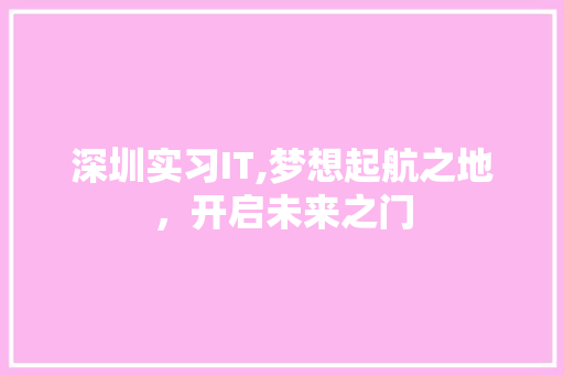 深圳实习IT,梦想起航之地，开启未来之门
