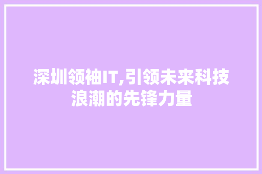 深圳领袖IT,引领未来科技浪潮的先锋力量