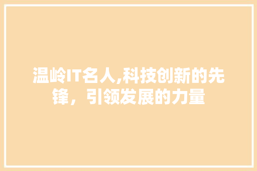 温岭IT名人,科技创新的先锋，引领发展的力量
