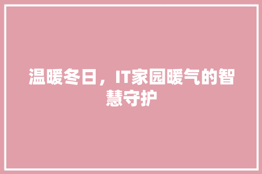 温暖冬日，IT家园暖气的智慧守护