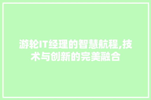 游轮IT经理的智慧航程,技术与创新的完美融合