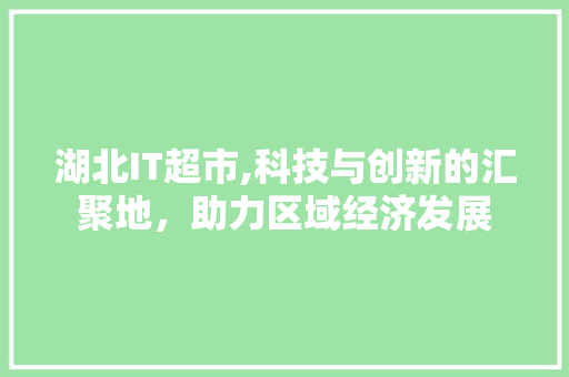 湖北IT超市,科技与创新的汇聚地，助力区域经济发展
