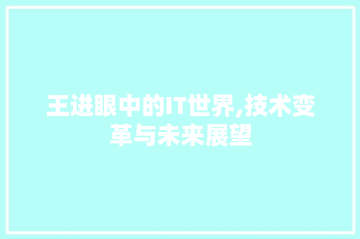 王进眼中的IT世界,技术变革与未来展望 SEO教程