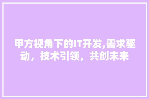 甲方视角下的IT开发,需求驱动，技术引领，共创未来