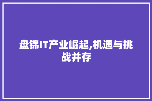 盘锦IT产业崛起,机遇与挑战并存