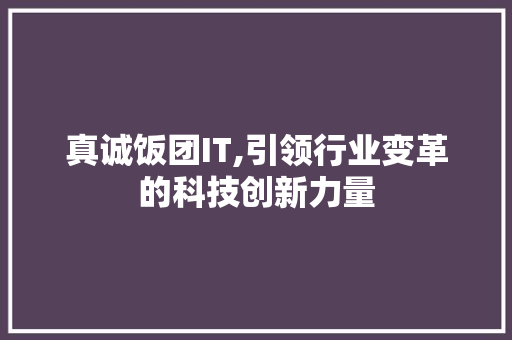 真诚饭团IT,引领行业变革的科技创新力量