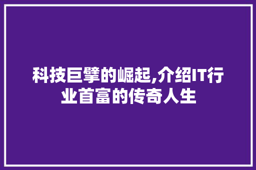 科技巨擘的崛起,介绍IT行业首富的传奇人生 SEO教程