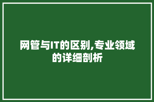 网管与IT的区别,专业领域的详细剖析