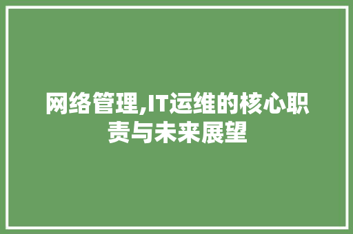 网络管理,IT运维的核心职责与未来展望