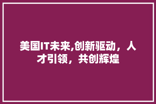 美国IT未来,创新驱动，人才引领，共创辉煌
