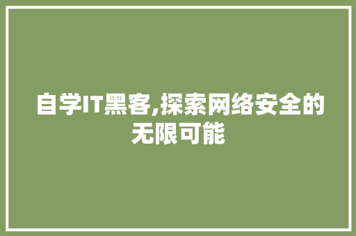 自学IT黑客,探索网络安全的无限可能 建站教程