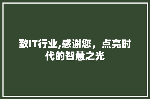 致IT行业,感谢您，点亮时代的智慧之光 WordPress教程