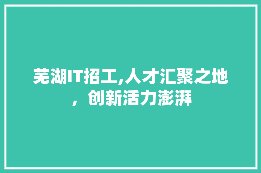 芜湖IT招工,人才汇聚之地，创新活力澎湃 友链在线