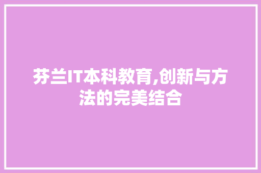 芬兰IT本科教育,创新与方法的完美结合