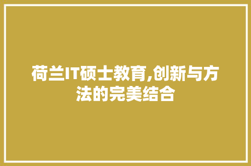 荷兰IT硕士教育,创新与方法的完美结合 建站教程