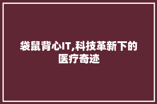 袋鼠背心IT,科技革新下的医疗奇迹 友链在线