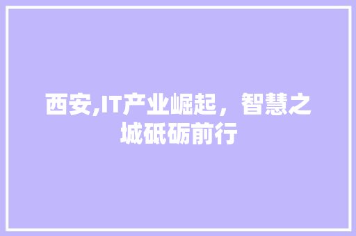 西安,IT产业崛起，智慧之城砥砺前行 友链在线