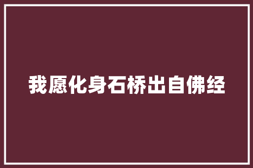 西安IT服务,助力企业数字化转型，迈向高质量发展 友链在线