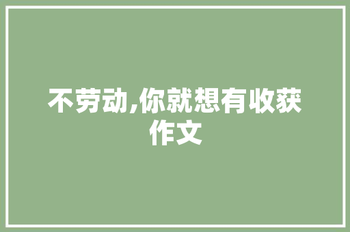 西澳IT数学教育,培养未来创新者的摇篮