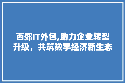 西郊IT外包,助力企业转型升级，共筑数字经济新生态