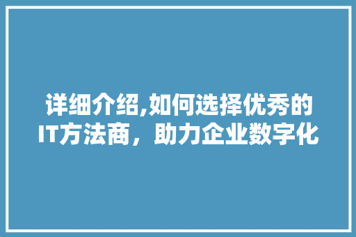 详细介绍,如何选择优秀的IT方法商，助力企业数字化转型