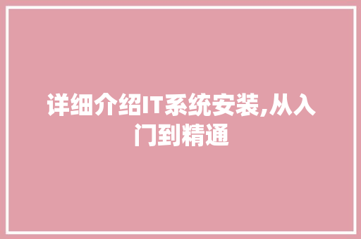 详细介绍IT系统安装,从入门到精通 WordPress教程