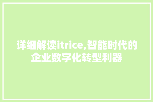 详细解读itrice,智能时代的企业数字化转型利器 WordPress教程