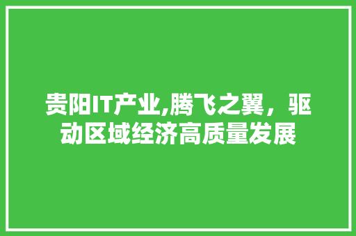 贵阳IT产业,腾飞之翼，驱动区域经济高质量发展