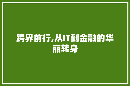 跨界前行,从IT到金融的华丽转身