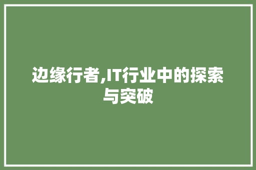 边缘行者,IT行业中的探索与突破